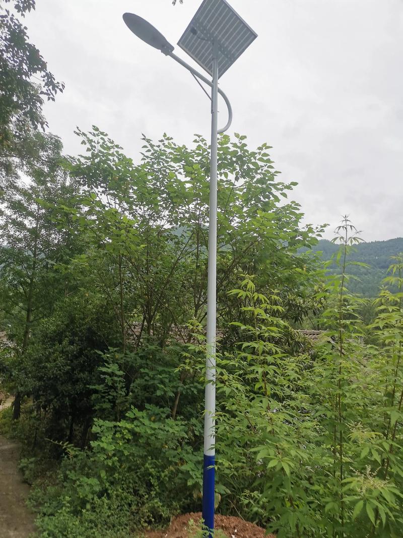 点亮未来：太阳能路灯的绿色革命